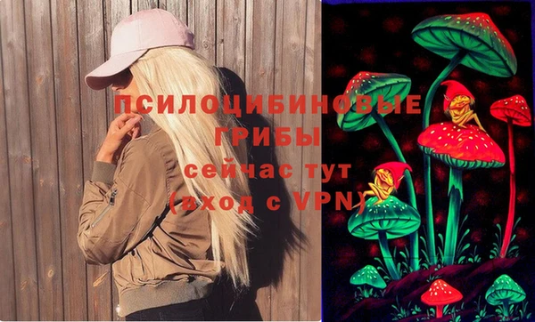 винт Алексеевка