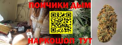 сатива Гагарин