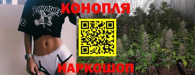 сатива Гагарин