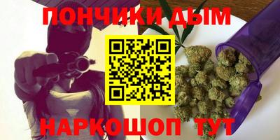 сатива Гагарин