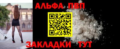 твердый Гатчина