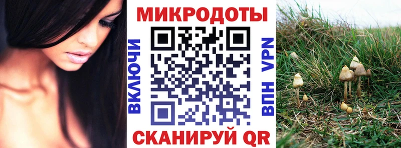 Галлюциногенные грибы Cubensis  OMG маркетплейс  Борзя 