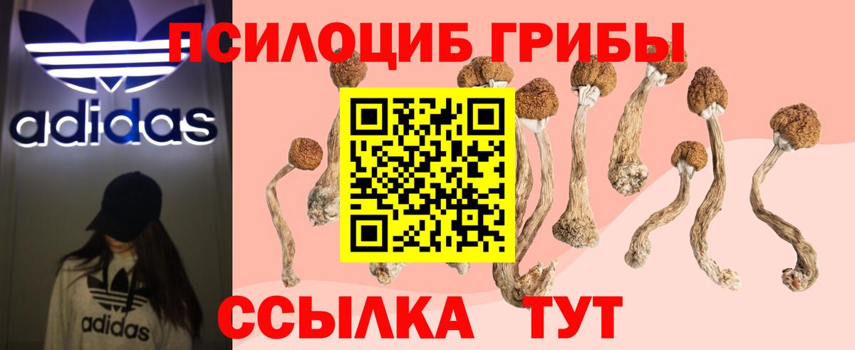 Псилоцибиновые грибы мицелий Борзя