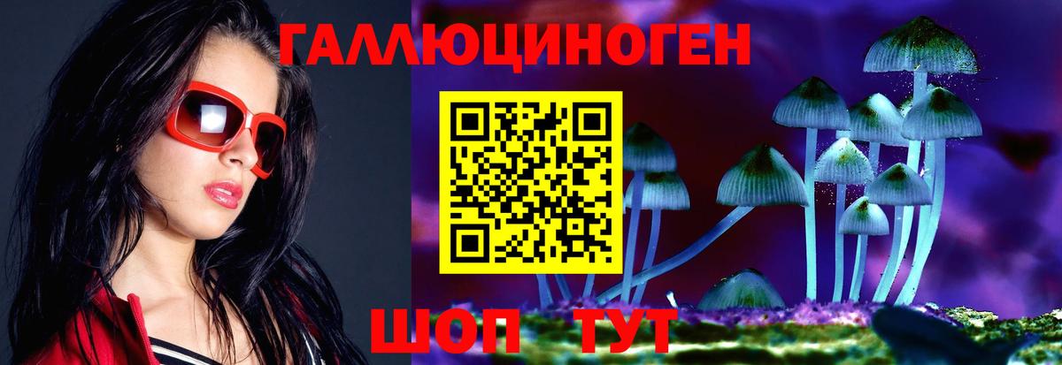 дарнет шоп  Псилоцибиновые грибы мицелий  Вход с VPN  Борзя  Псилоцибиновые грибы Psilocybine cubensis 